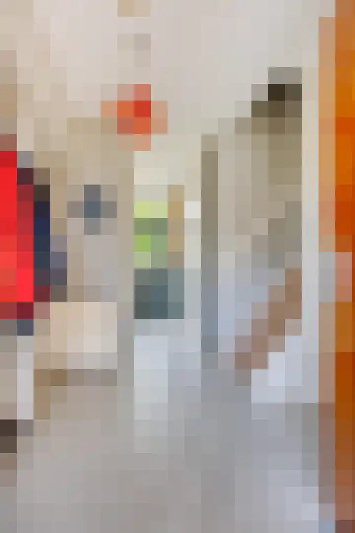 Rozentuin 4 Bergschenhoek thumbnail 11