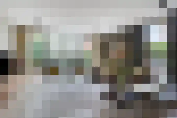 Rozentuin 4 Bergschenhoek thumbnail 12