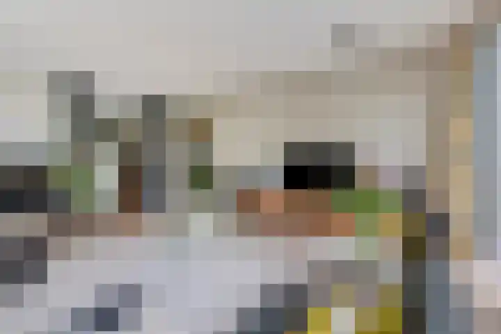 Rozentuin 4 Bergschenhoek thumbnail 13