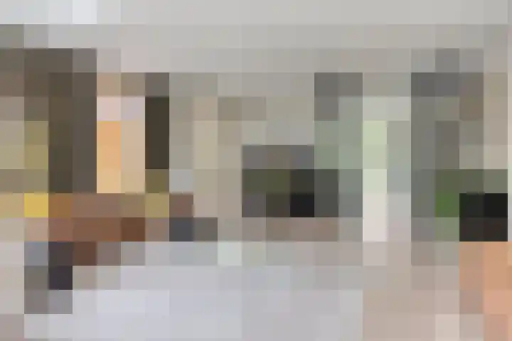 Rozentuin 4 Bergschenhoek thumbnail 14