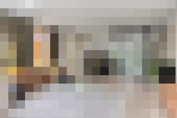 Rozentuin 4 Bergschenhoek thumbnail 15