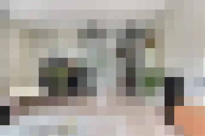 Rozentuin 4 Bergschenhoek thumbnail 16