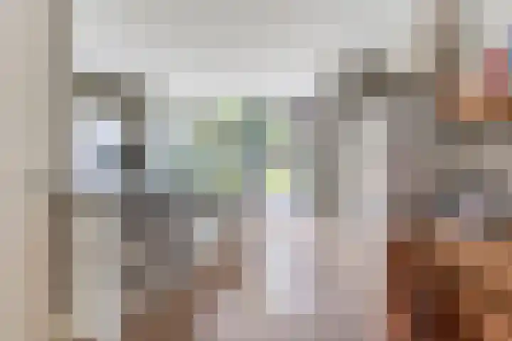 Rozentuin 4 Bergschenhoek thumbnail 17