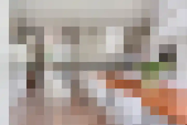 Rozentuin 4 Bergschenhoek thumbnail 18