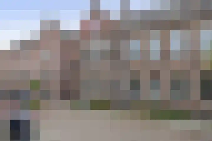 Rozentuin 4 Bergschenhoek thumbnail 20