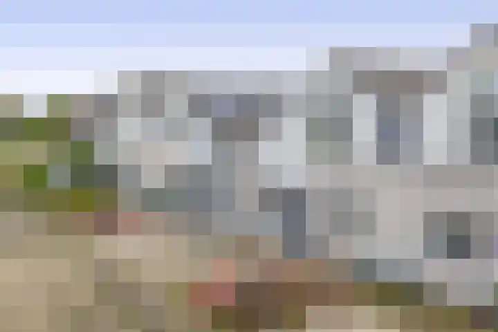 Rozentuin 4 Bergschenhoek thumbnail 23