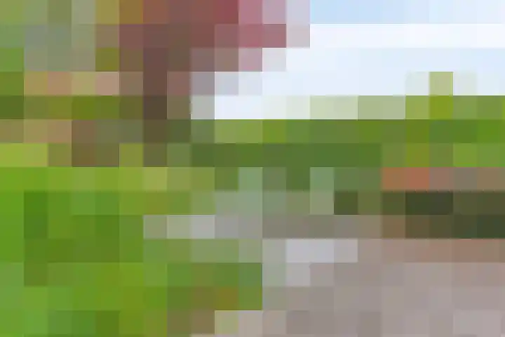 Rozentuin 4 Bergschenhoek thumbnail 24