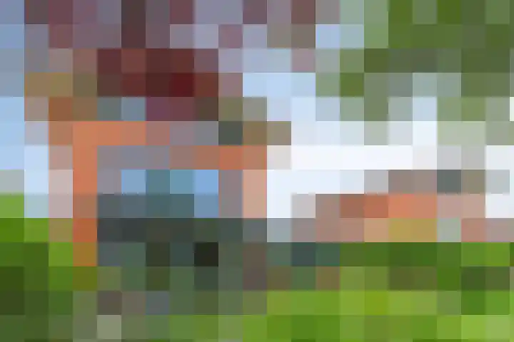 Rozentuin 4 Bergschenhoek thumbnail 26