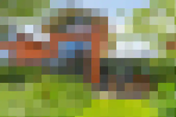 Rozentuin 4 Bergschenhoek thumbnail 27