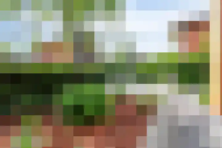 Rozentuin 4 Bergschenhoek foto 3