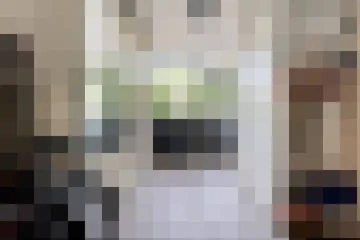 Rozentuin 4 Bergschenhoek thumbnail 30