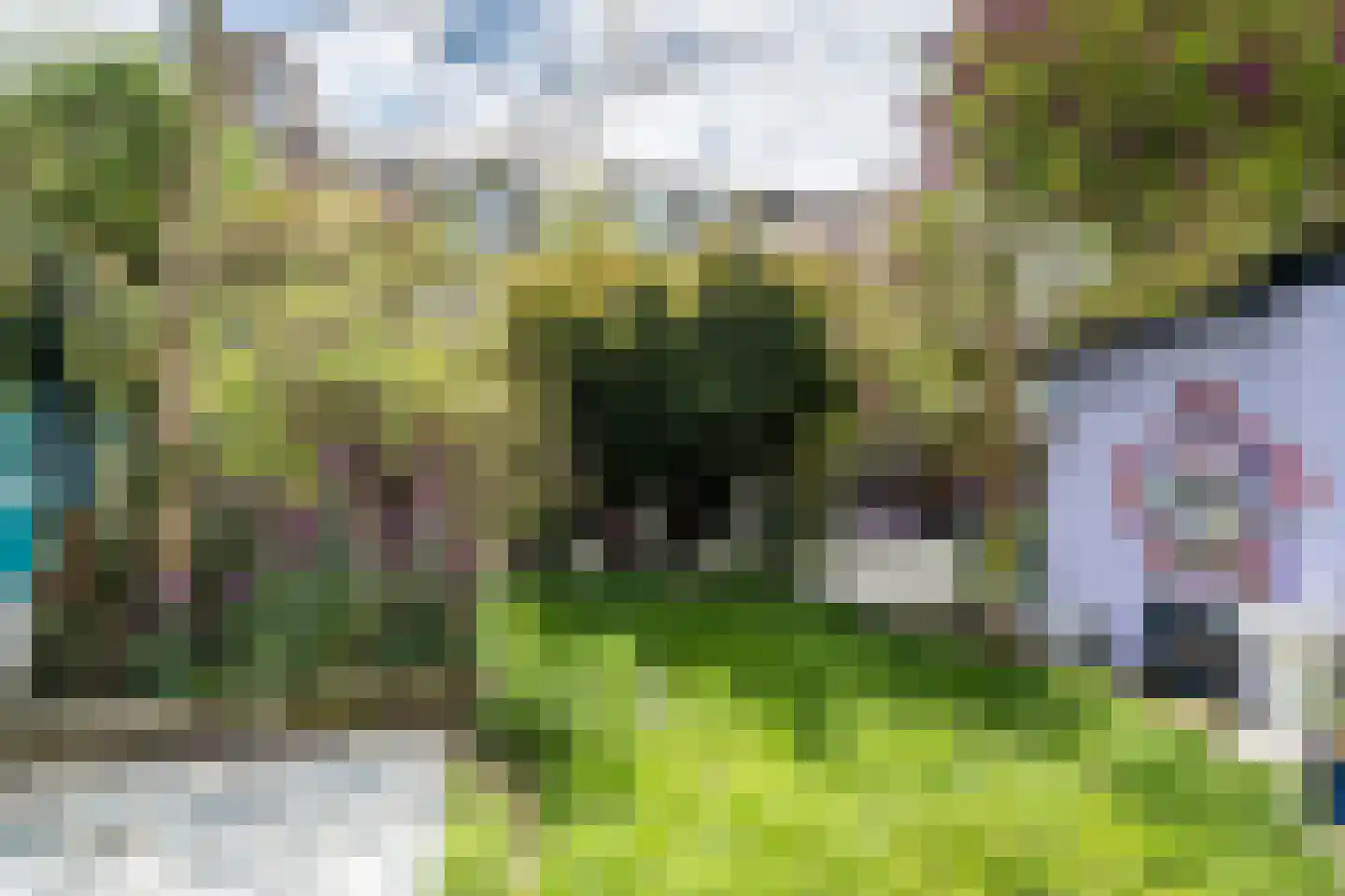 Rozentuin 4 Bergschenhoek thumbnail 31