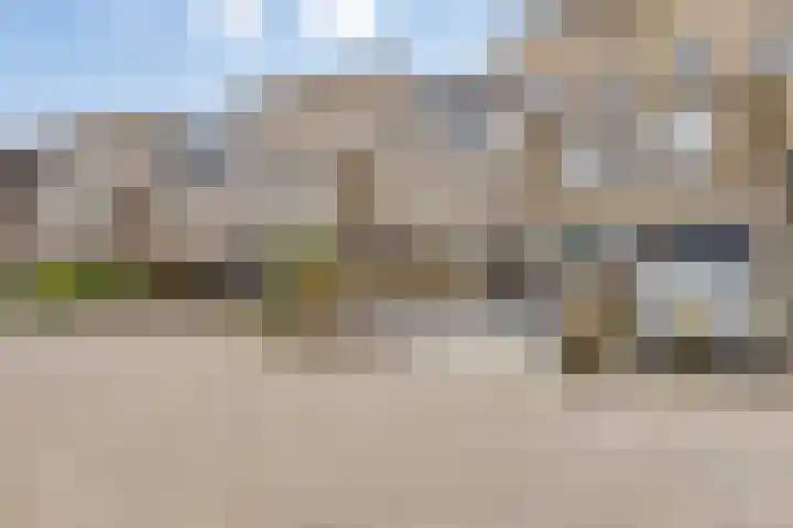 Rozentuin 4 Bergschenhoek thumbnail 33