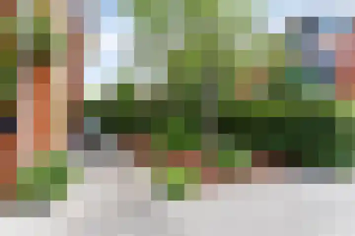 Rozentuin 4 Bergschenhoek thumbnail 4