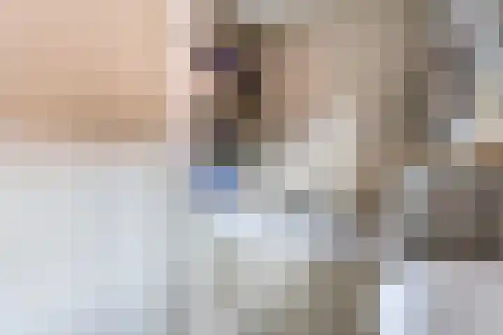 Rozentuin 4 Bergschenhoek thumbnail 41