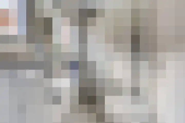 Rozentuin 4 Bergschenhoek thumbnail 42
