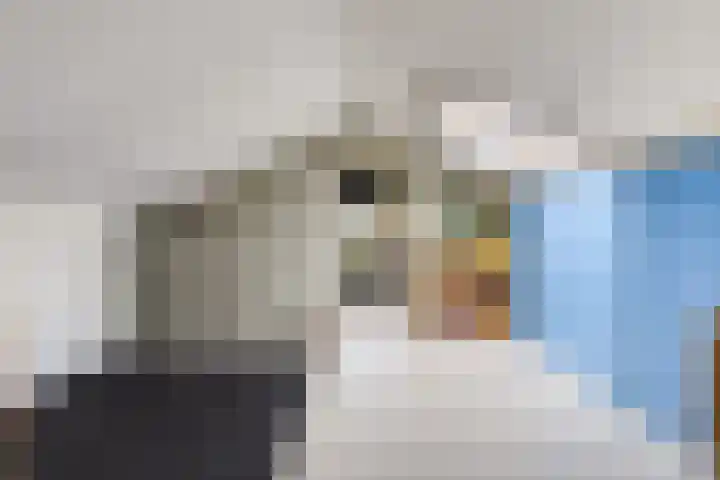Rozentuin 4 Bergschenhoek thumbnail 44