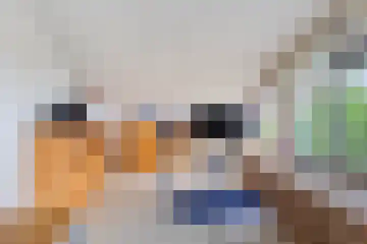 Rozentuin 4 Bergschenhoek thumbnail 45