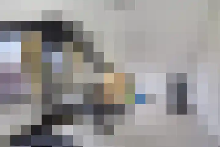 Rozentuin 4 Bergschenhoek thumbnail 47