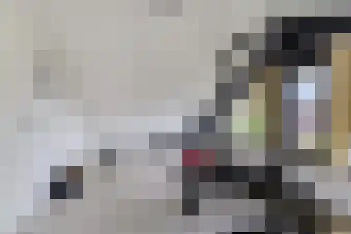 Rozentuin 4 Bergschenhoek thumbnail 48