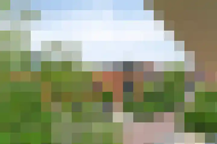 Rozentuin 4 Bergschenhoek thumbnail 49