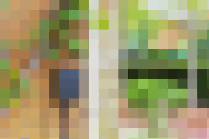 Rozentuin 4 Bergschenhoek thumbnail 5