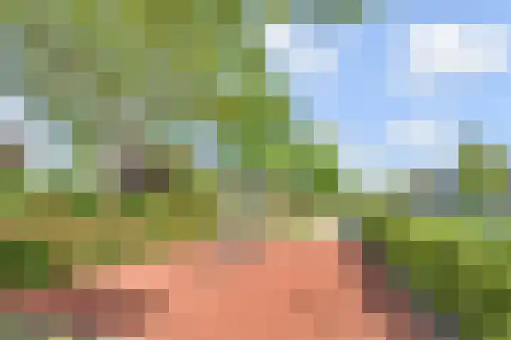 Rozentuin 4 Bergschenhoek thumbnail 52