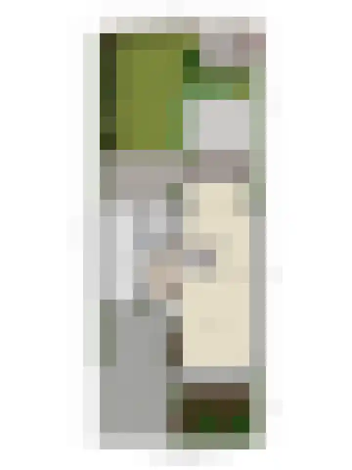 Rozentuin 4 Bergschenhoek thumbnail 54