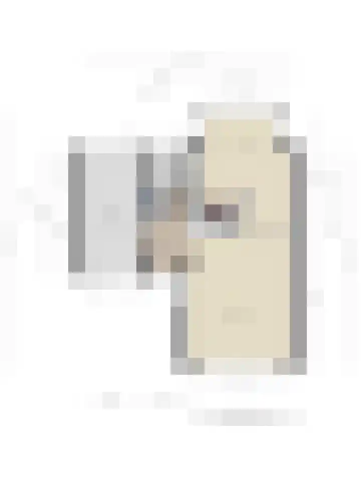 Rozentuin 4 Bergschenhoek thumbnail 55