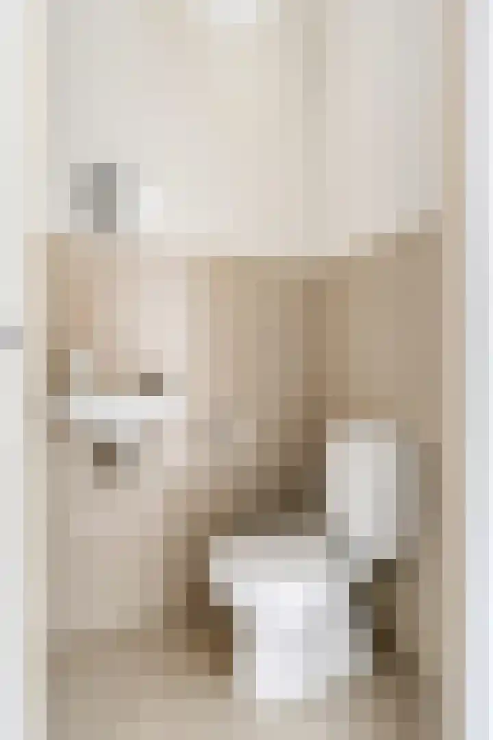 Rozentuin 4 Bergschenhoek thumbnail 7