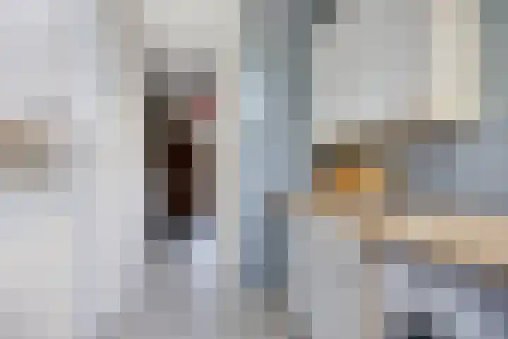 Rozentuin 4 Bergschenhoek thumbnail 9