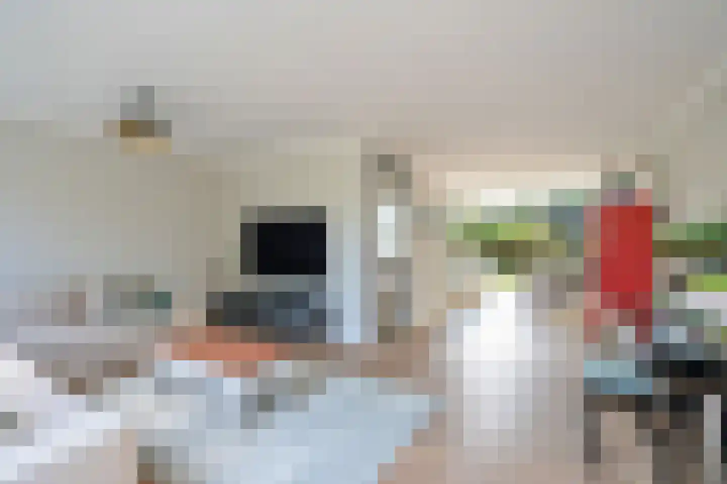 Rozentuin 43 Voorburg thumbnail 11