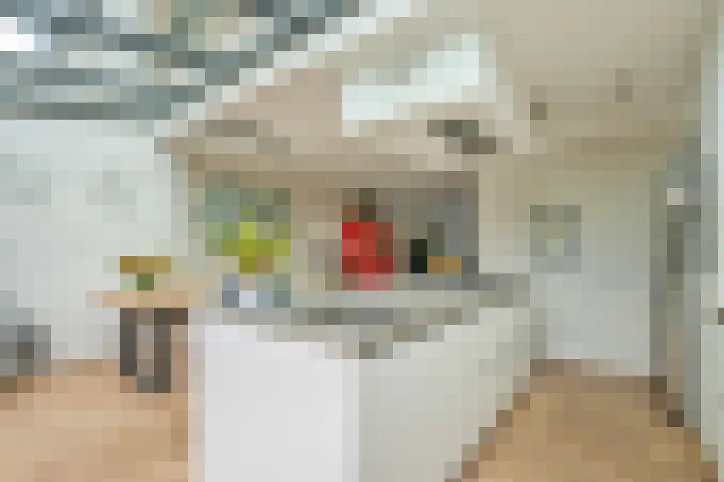 Rozentuin 43 Voorburg thumbnail 17