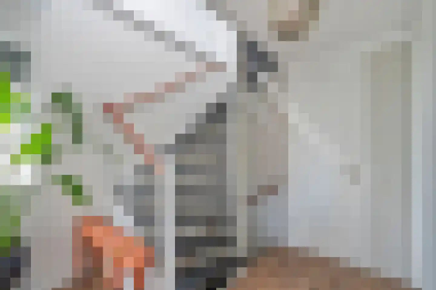 Rozentuin 43 Voorburg thumbnail 22