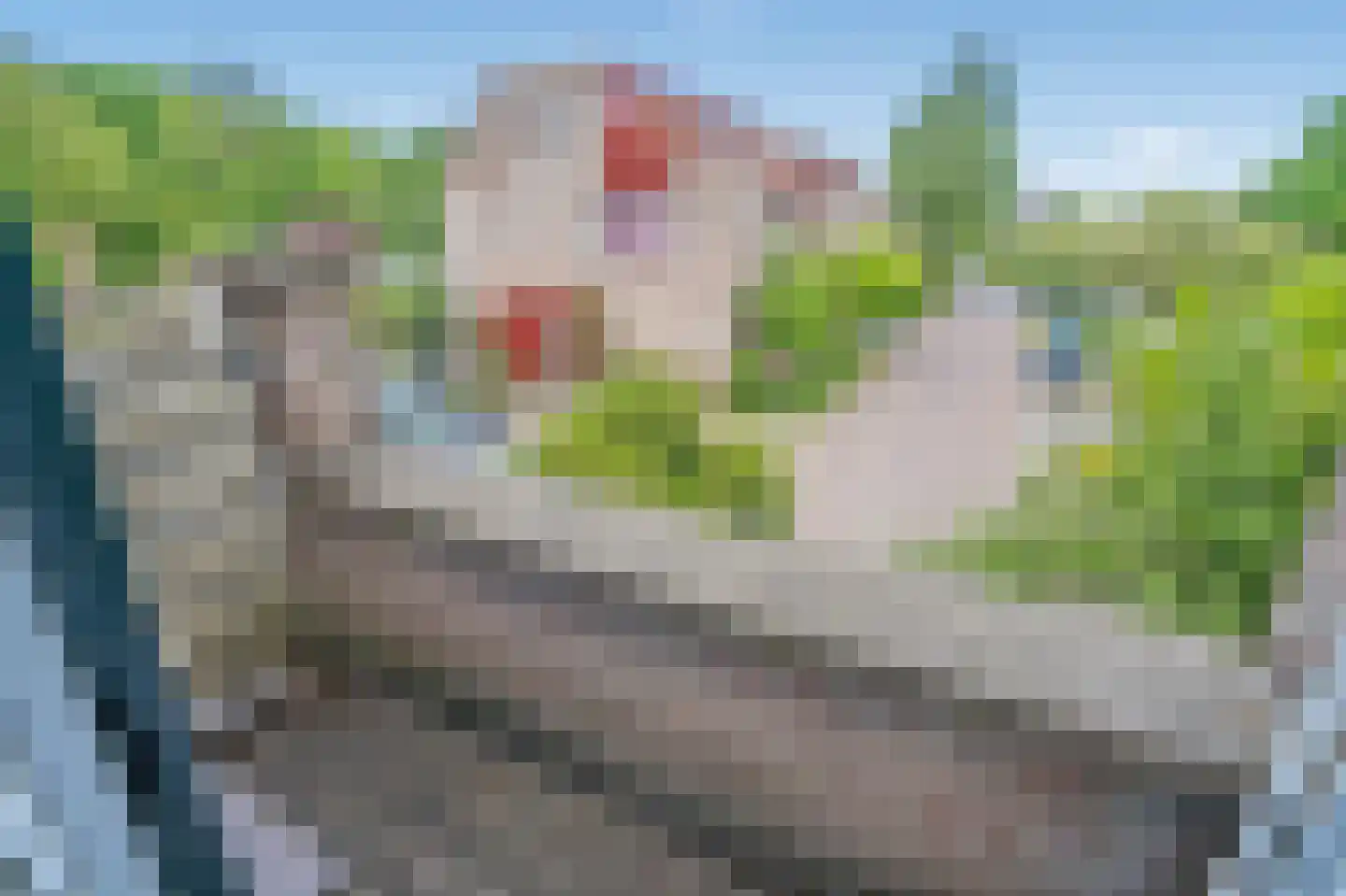 Rozentuin 43 Voorburg thumbnail 30