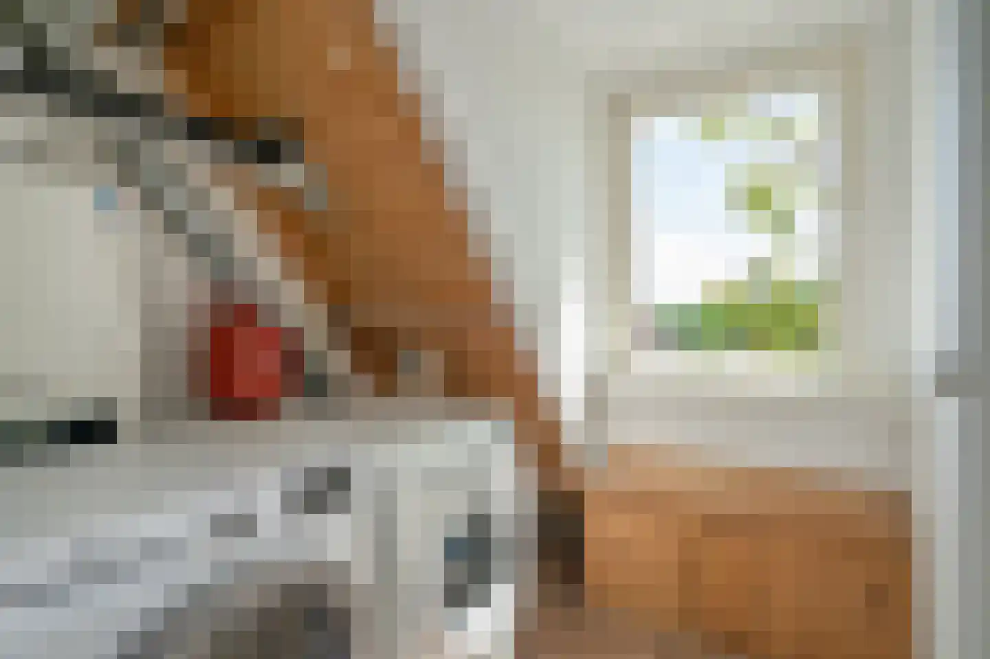 Rozentuin 43 Voorburg thumbnail 39