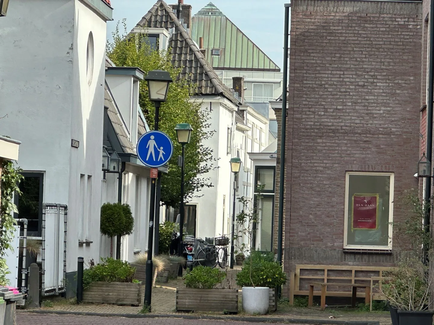 Rozentuin 59 Voorburg thumbnail 54
