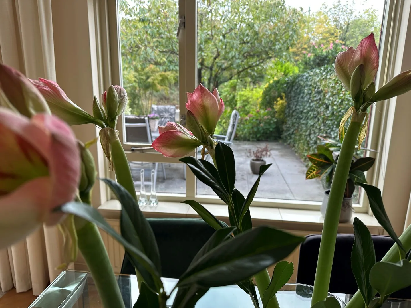Rozentuin 59 Voorburg thumbnail 8