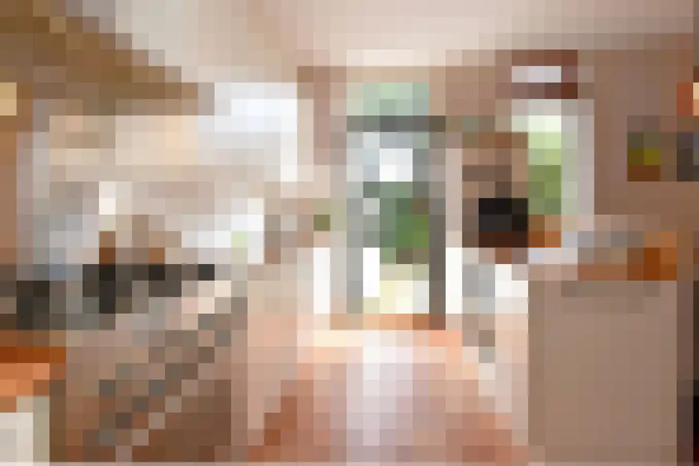 Rozentuin 94 Voorburg thumbnail 11