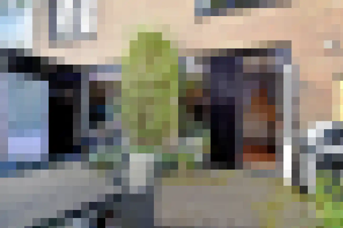 Rozentuin 94 Voorburg thumbnail 12