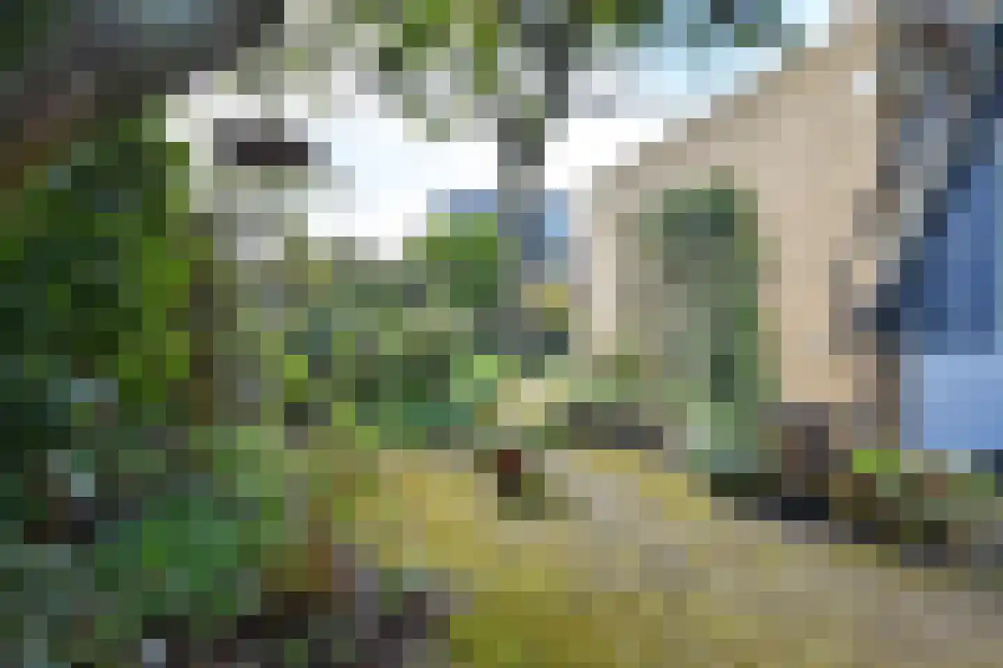 Rozentuin 94 Voorburg thumbnail 13