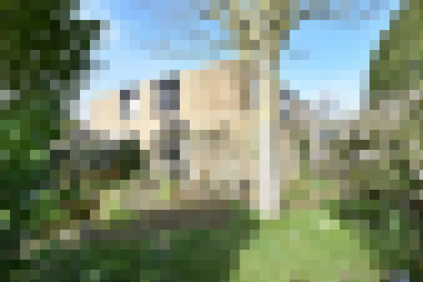 Rozentuin 94 Voorburg thumbnail 15