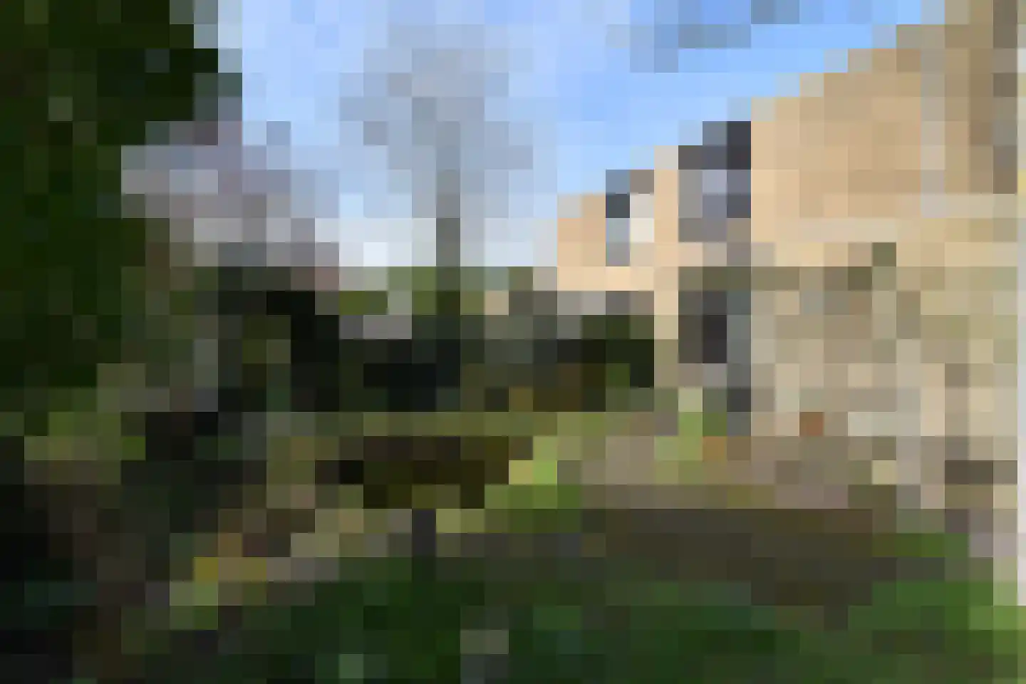 Rozentuin 94 Voorburg thumbnail 17