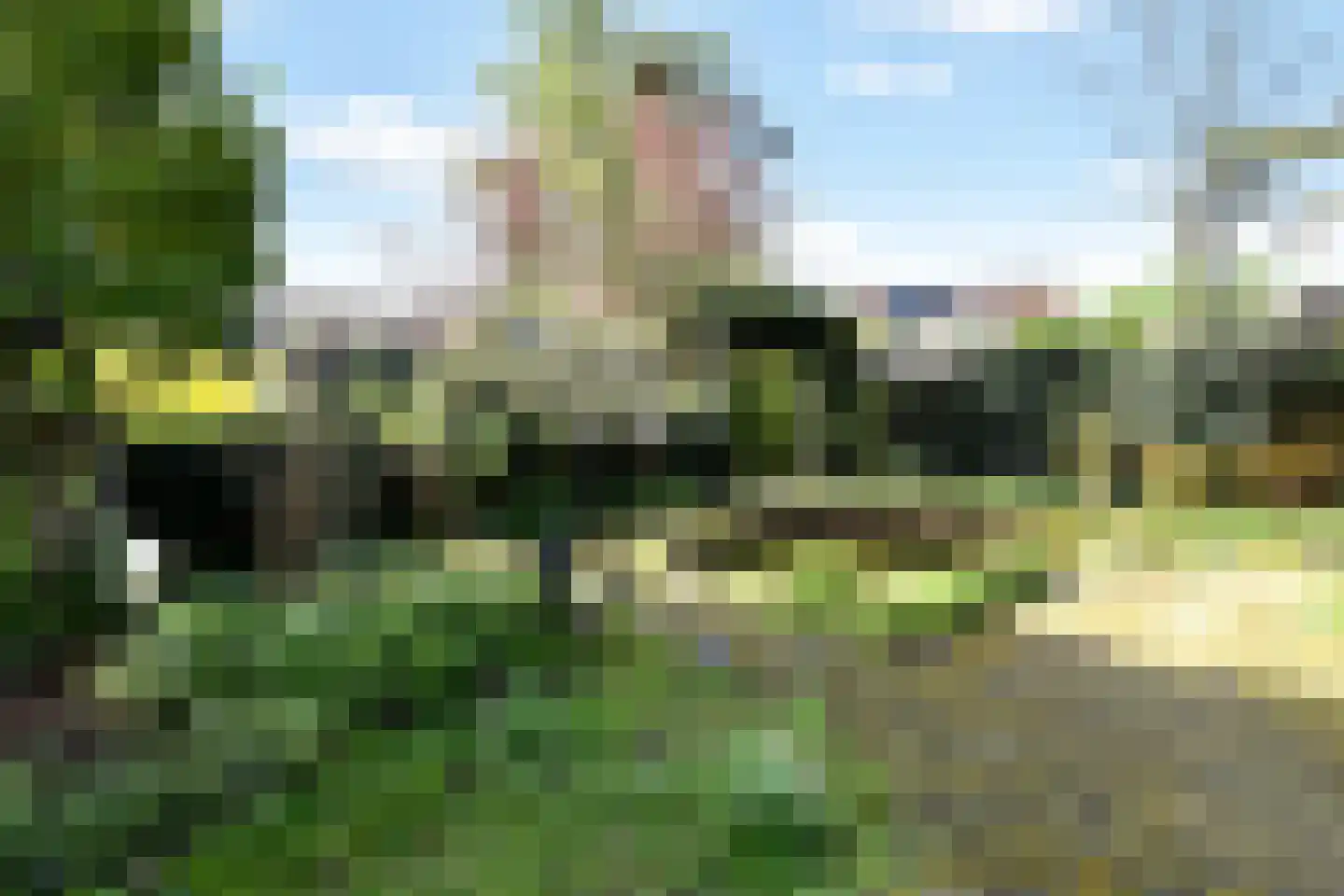 Rozentuin 94 Voorburg thumbnail 19
