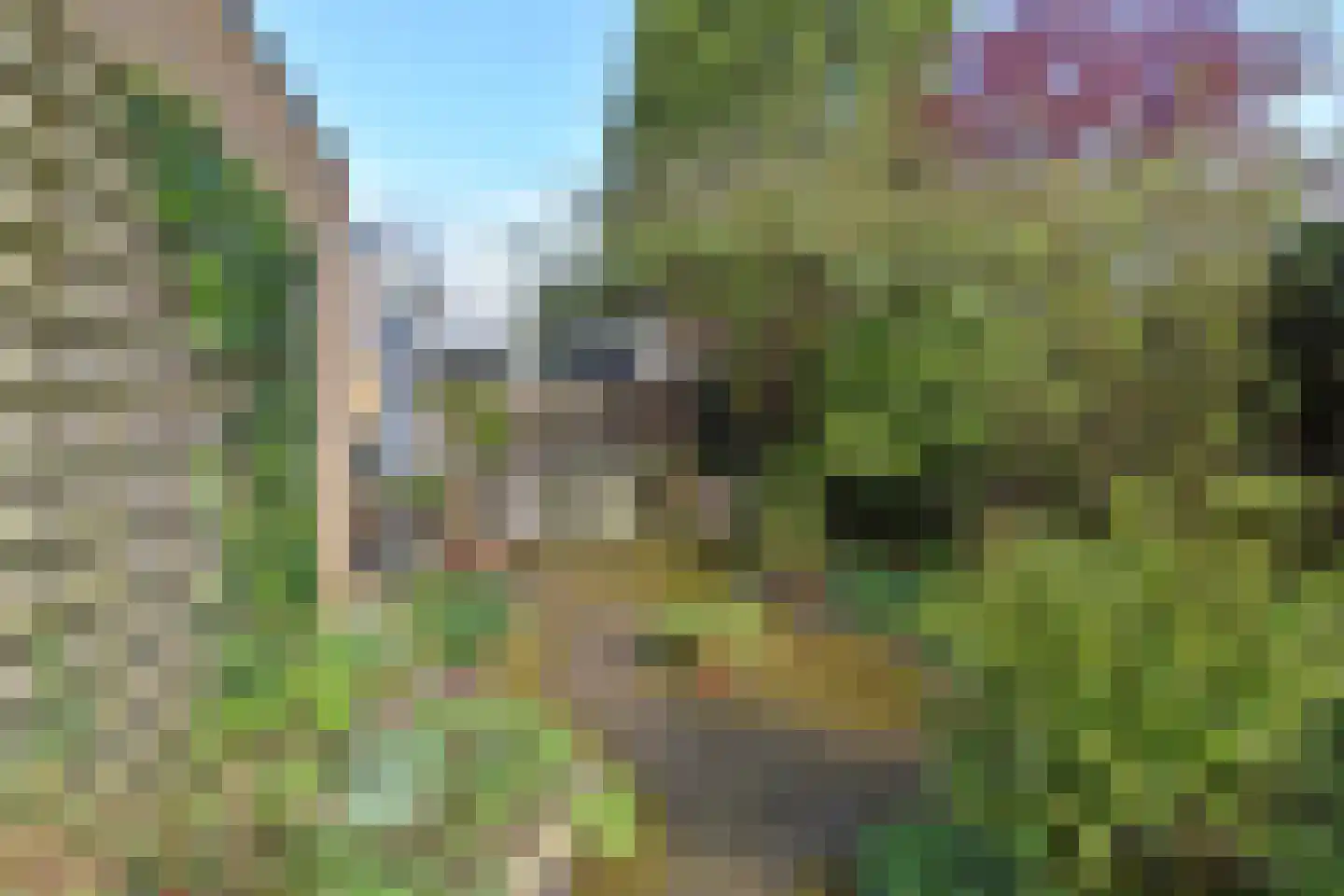 Rozentuin 94 Voorburg thumbnail 20
