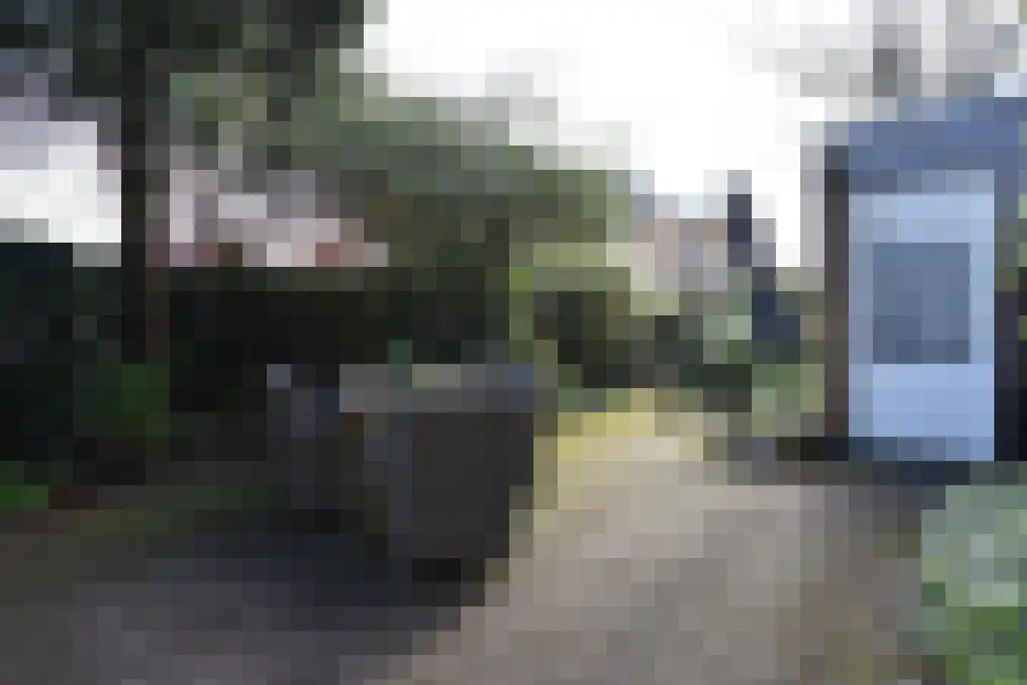 Rozentuin 94 Voorburg thumbnail 21