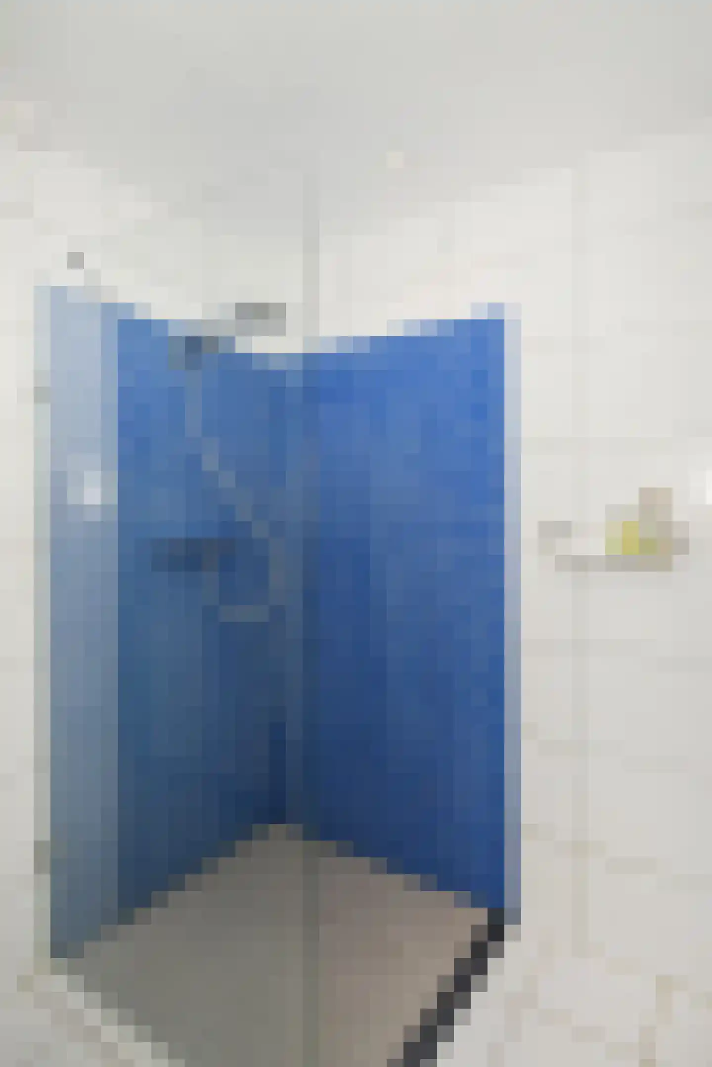Rozentuin 94 Voorburg thumbnail 32