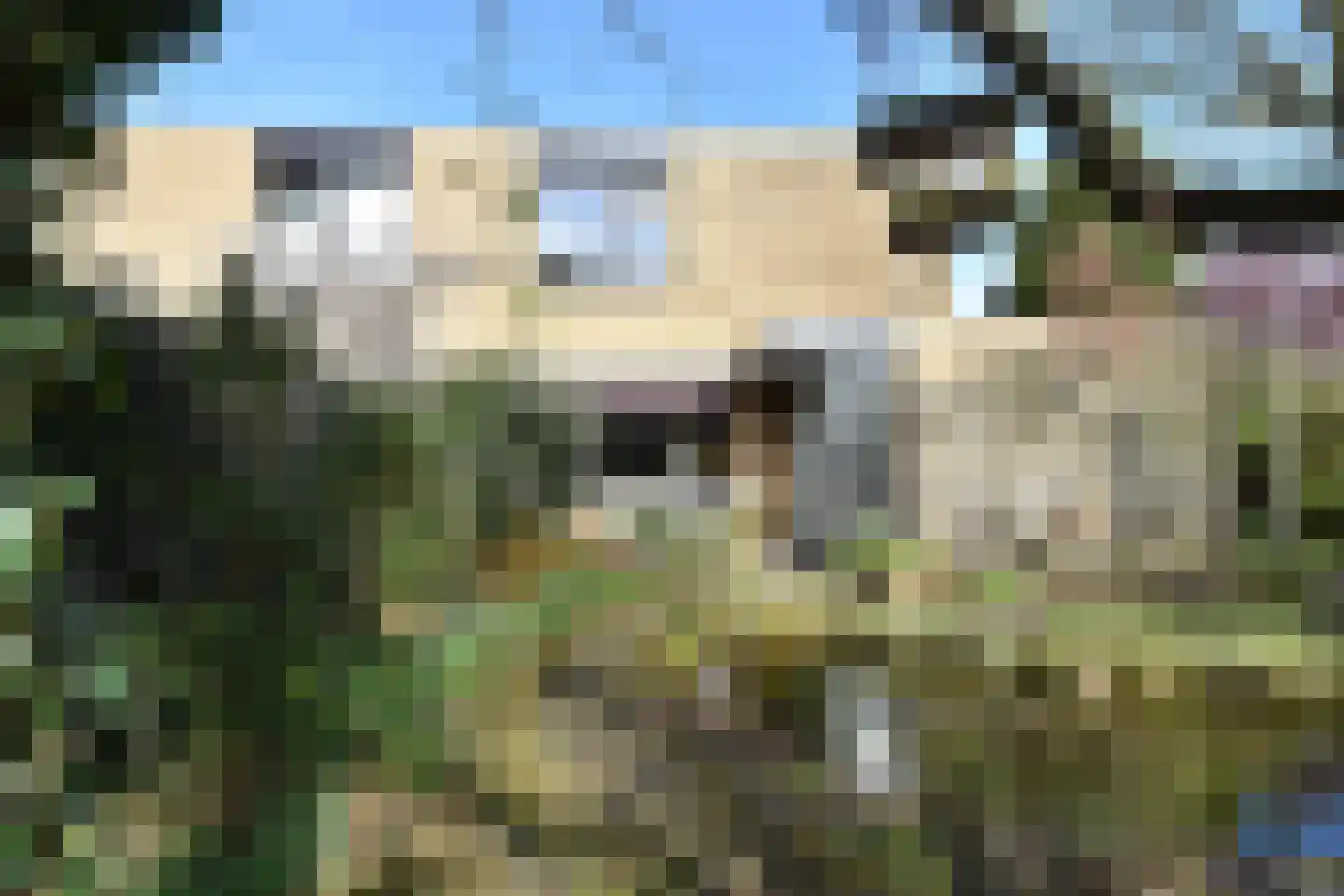 Rozentuin 94 Voorburg thumbnail 36