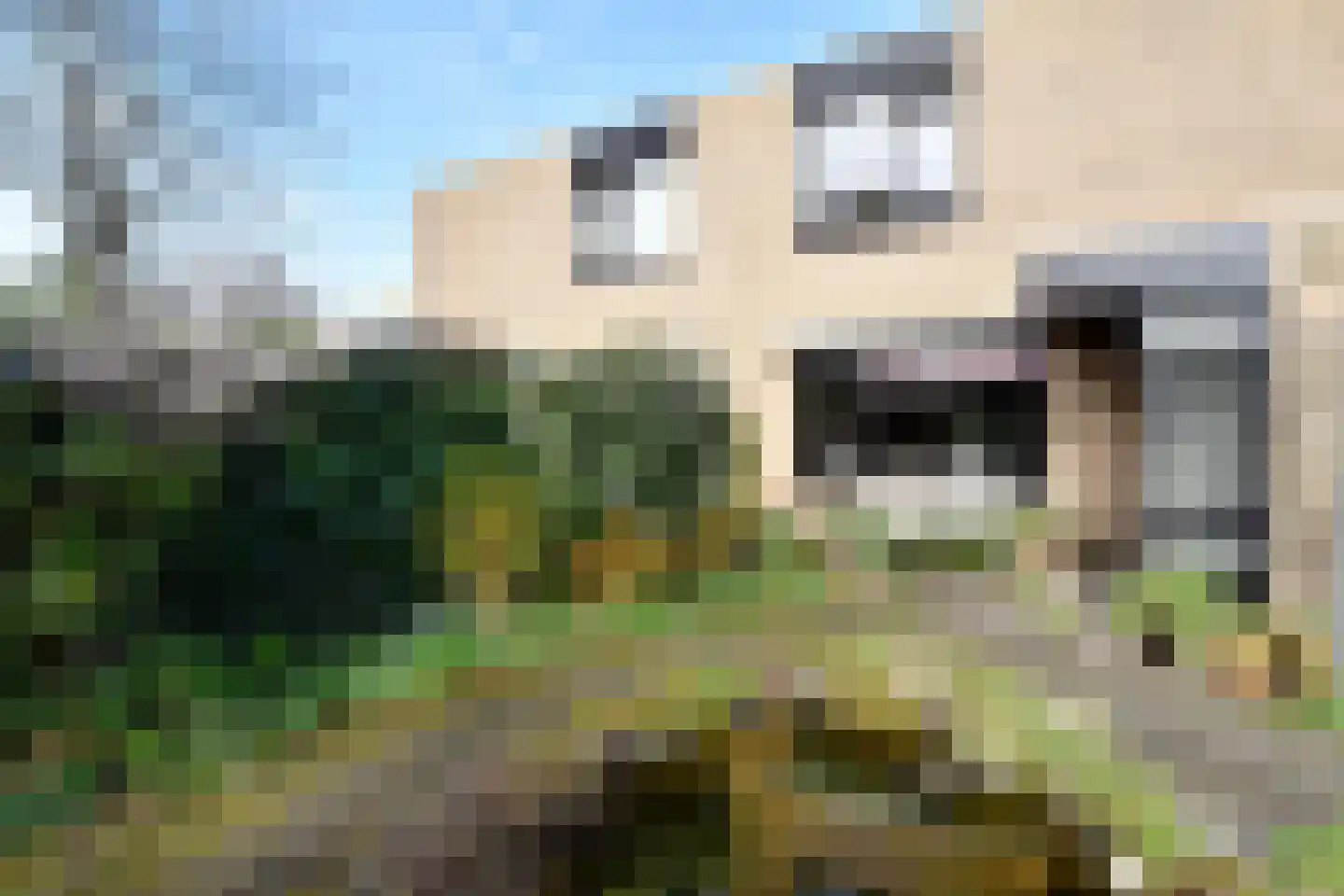 Rozentuin 94 Voorburg thumbnail 37