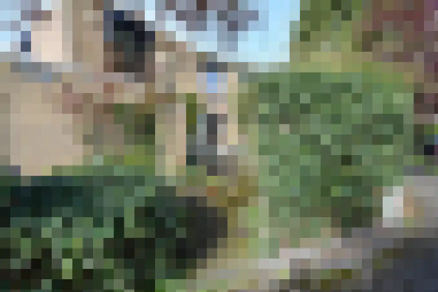 Rozentuin 94 Voorburg thumbnail 38
